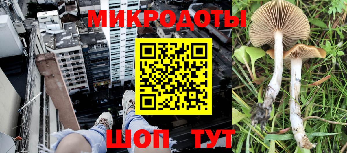Галлюциногенные грибы Magic Shrooms Полысаево