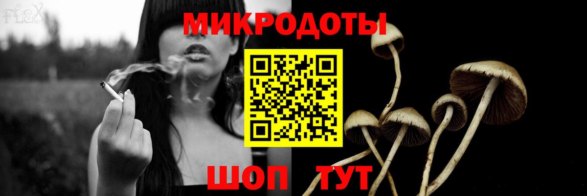 Псилоцибиновые грибы Psilocybine cubensis  Вход с VPN  Галлюциногенные грибы мицелий  Полысаево 